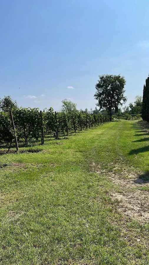 Gabriele Country House Desenzano del Garda Italy